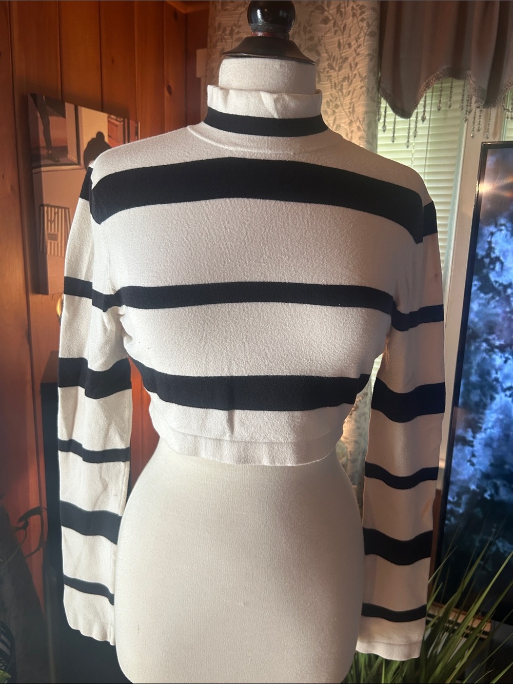 Arden B Black and White Striped Cropped Turtleneck Top